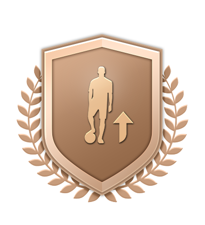 Bronze Upgrade