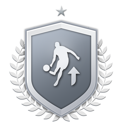 Silver Upgrade